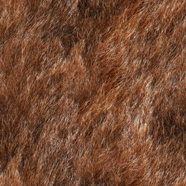 istock Seamless texture of animal fur 1138574108