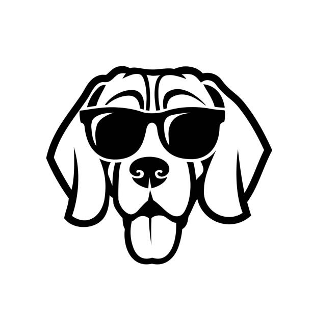 ilustraciones, imágenes clip art, dibujos animados e iconos de stock de perro beagle usando gafas de sol-ilustración vectorial delineado aislado - hound