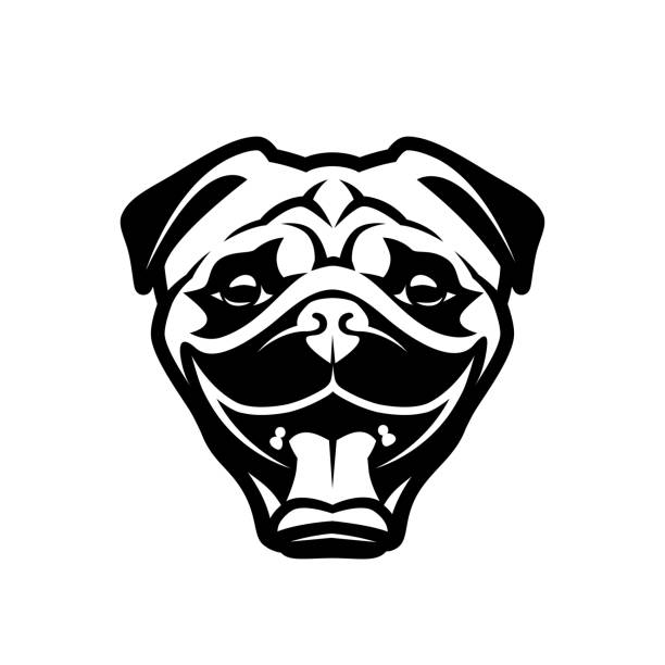 pies mops twarz - ilustracja wektorowa - dog mixed breed dog puppy white background stock illustrations