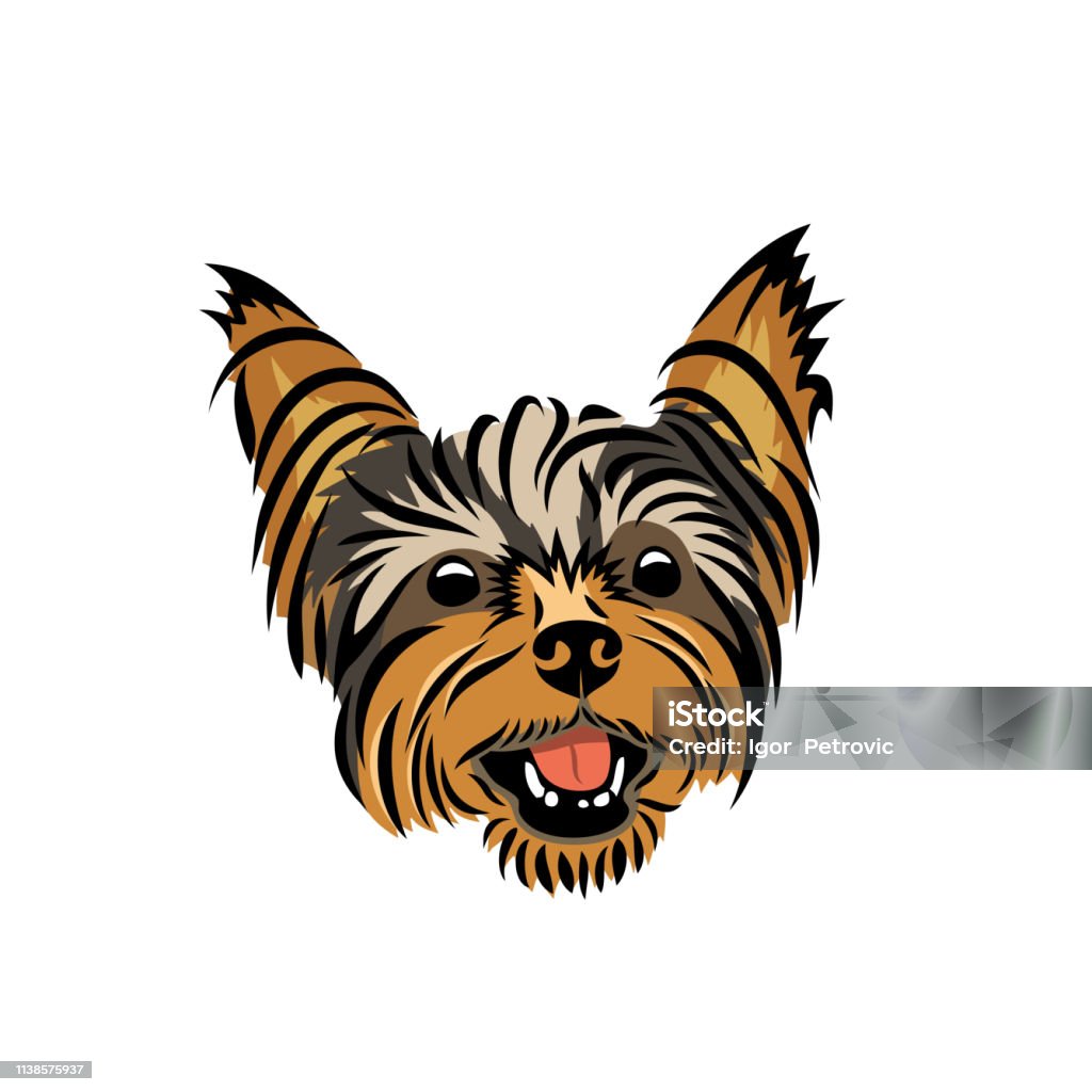 Yorkshire terrier - isolated vector illustration Yorkshire terrier Yorkshire Terrier stock vector