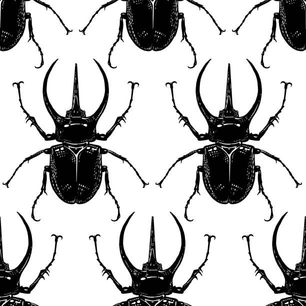 ilustrações, clipart, desenhos animados e ícones de teste padrão sem emenda com insetos. besouros - insecticide vector illness mustache