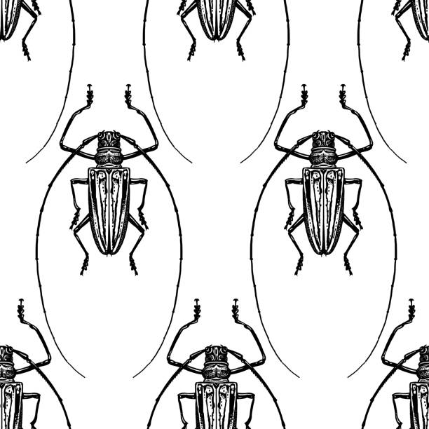 ilustrações, clipart, desenhos animados e ícones de teste padrão sem emenda com insetos. besouros - insecticide vector illness mustache