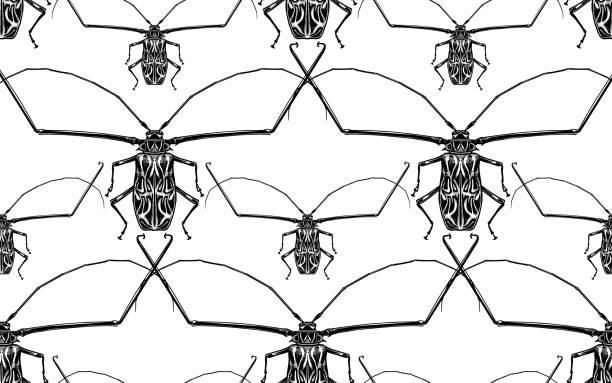 ilustrações, clipart, desenhos animados e ícones de teste padrão sem emenda com insetos. arlequim dos besouros - insecticide vector illness mustache