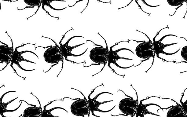 ilustrações, clipart, desenhos animados e ícones de teste padrão sem emenda com insetos. besouros rino - insecticide vector illness mustache