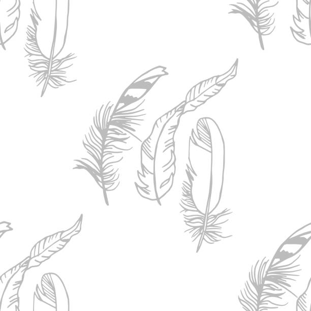 Mockingbird Feather Pattern 140+ Mockingjay Bird Stock Photos, Pictures & Royalty-Free Images - iStock