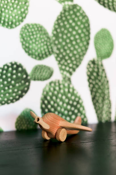 istock retro wood toy airplane on table with cactus background. 1138581999