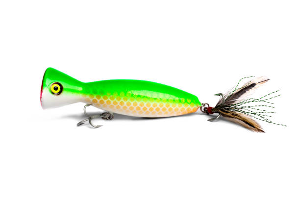 istock Fishing lure isolated on white 1138585578