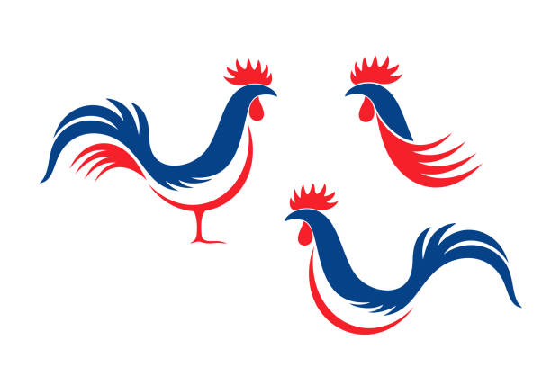 Happy Bastille Day 14 July Viva France National Day French Rooster Isolated  Rooster On White Background Stock Illustration - Download Image Now - iStock