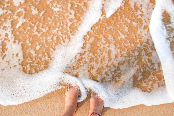 istock Song of Summer 1138590181