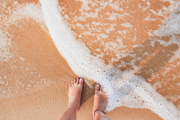 istock Song of Summer 1138590439