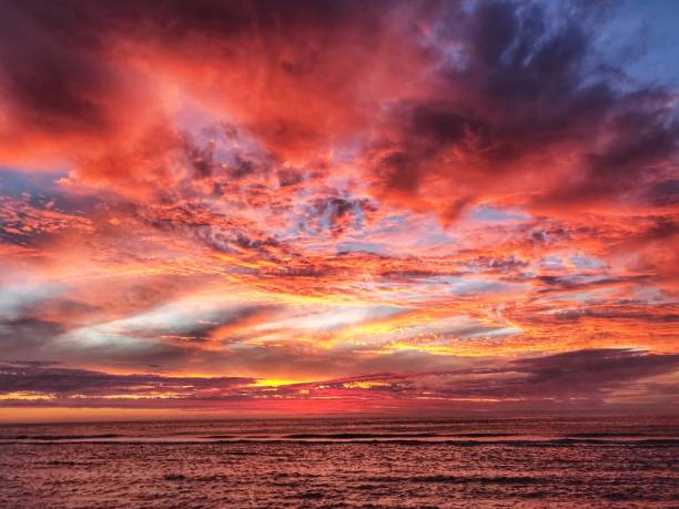 istock Beach sunset in pink and orange 1138592787
