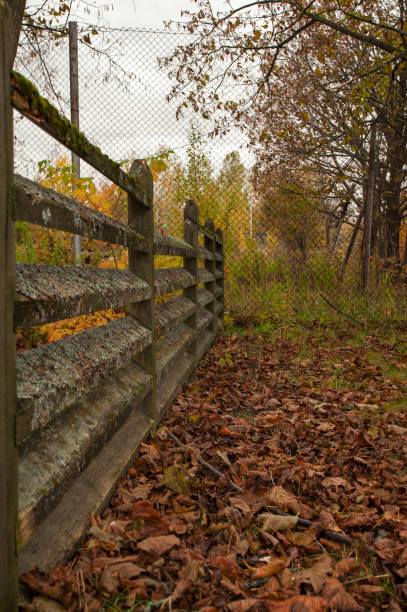 istock Wood fence 1138596786