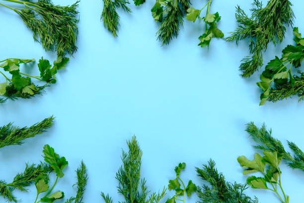 istock frame with parsley and dill on blue 1138597033