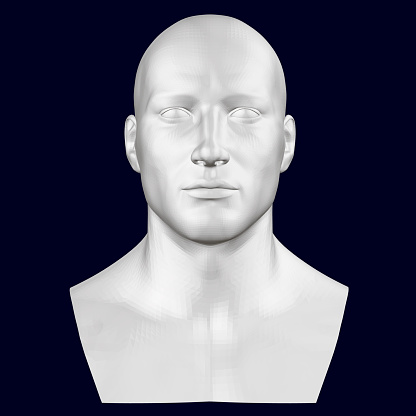 Bust of a man. Front view. 3D. Vector illustration