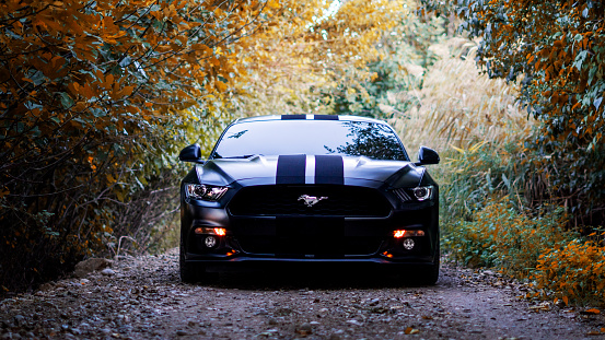 Denizli-Turkey - October 29, 2018: A view of the black version of the Ford Mustang parked in the middle of the road in the woods. Ford Mustang is a sports coupe made by Ford.