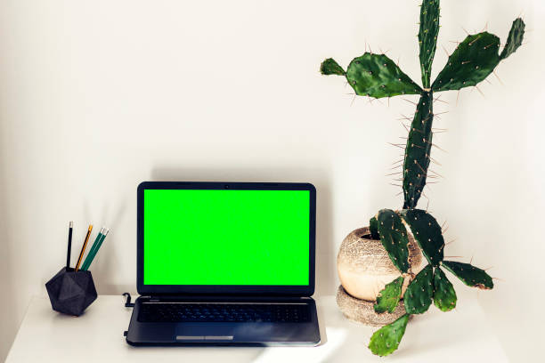 istock Green screen laptop and cactus in clay pot on white table, education office concept background. 1138599073