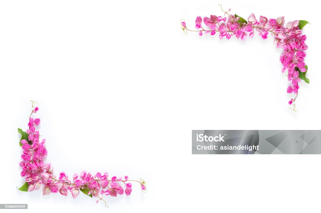 Marco De Borde Floral De Flores Rosas Como Esquina Sobre Fondo Blanco Con  Espacio De Copia Foto de stock y más banco de imágenes de Flor - iStock