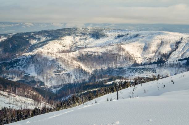 istock Beautiful winter fairytale landscape. 1138604133