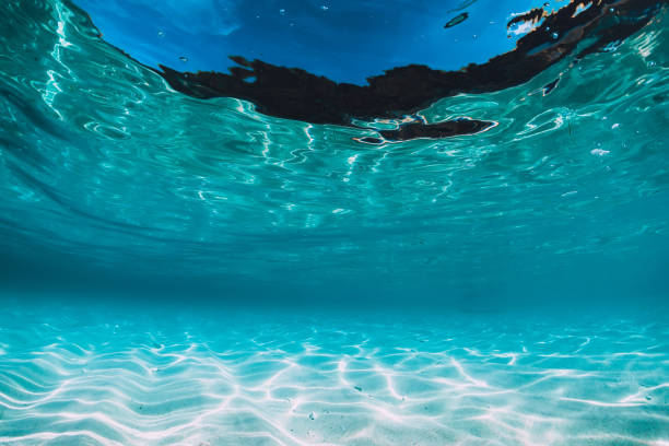 istock Tropical blue ocean with white sand underwater in Hawaii 1138606820