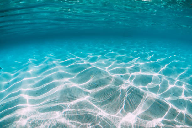istock Tropical blue ocean with white sand underwater in Hawaii 1138606821