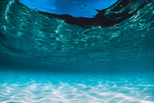 istock Tropical blue ocean with white sand underwater in Hawaii 1138606847