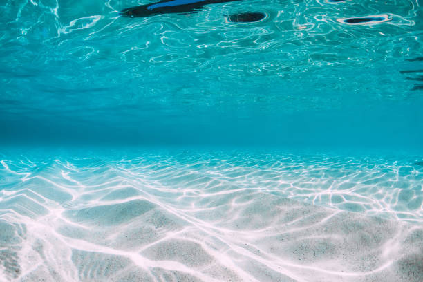 istock Tropical blue ocean with white sand underwater in Hawaii 1138607107