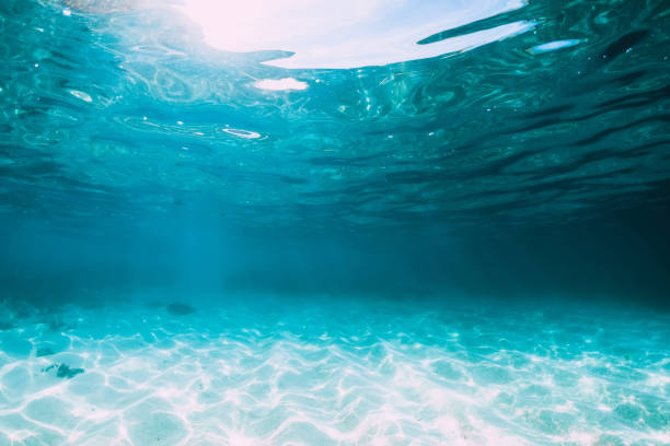 istock Tropical blue ocean with white sand underwater in Hawaii 1138607156