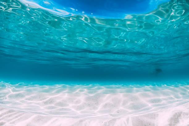 istock Tropical blue ocean with white sand underwater in Hawaii 1138607159