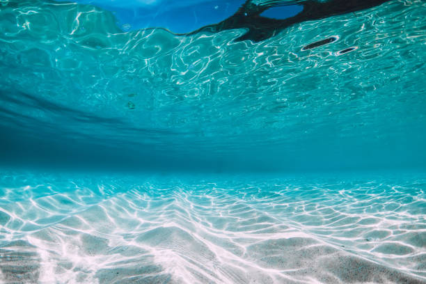 istock Tropical blue ocean with white sand underwater in Hawaii 1138607221