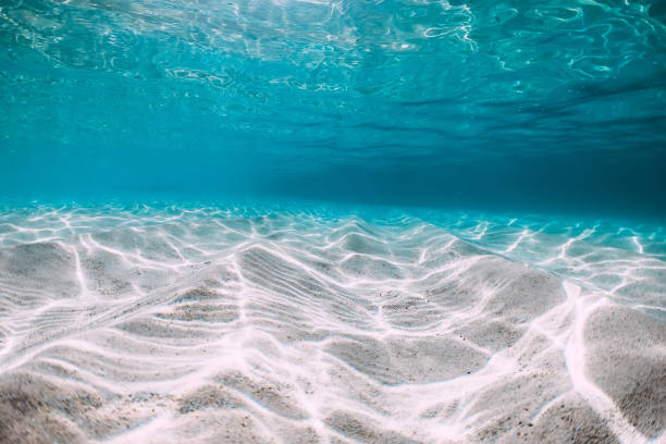 istock Tropical blue ocean with white sand underwater in Hawaii 1138607239