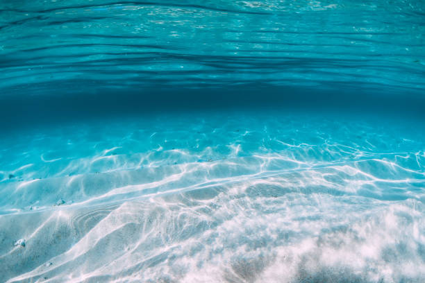 istock Tropical blue ocean with white sand underwater in Hawaii 1138607802