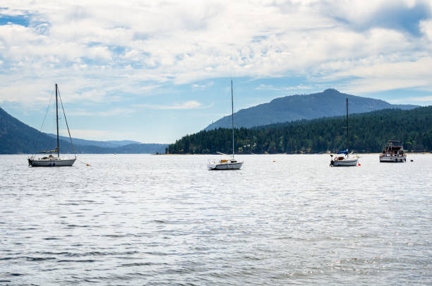 istock View of Maple Bay in British Columbia, Canada, on a Cloudy Summer Day 1138607826