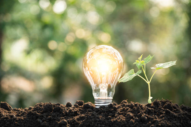 istock Light bulbs with glowing one. technology and creativity concept with light bulbs and copy space for insert text 1138608360