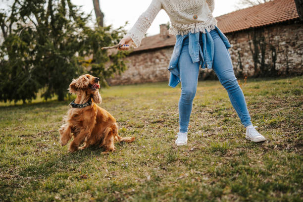 istock Young woman playing with her dog 1138608646