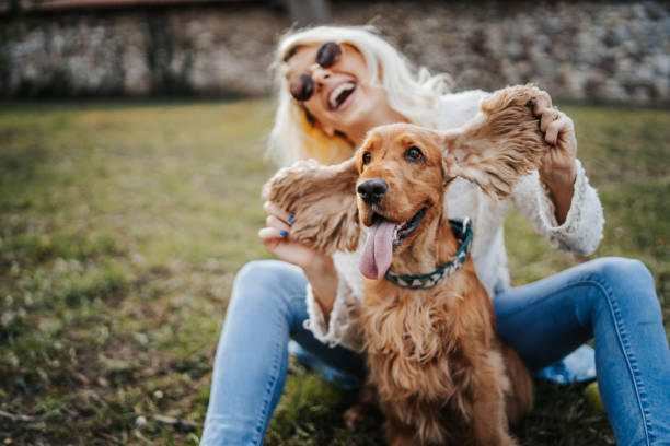 istock Young woman playing dog in park 1138609019