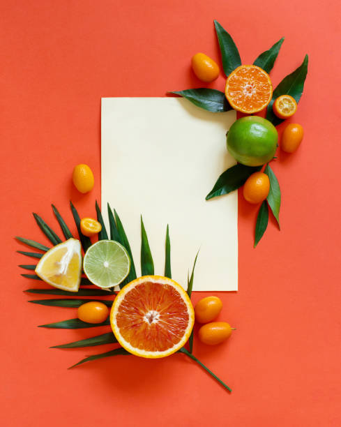 istock Citrus fruits on a coral red background 1138609264