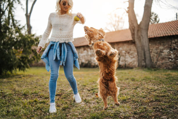 istock Young woman playing with her dog 1138609382