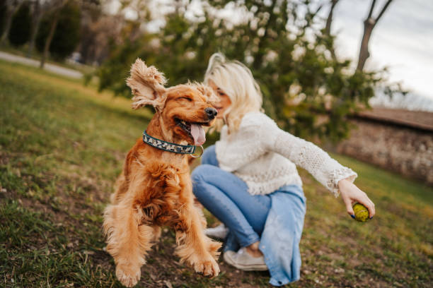 istock Young woman playing dog in park 1138610045