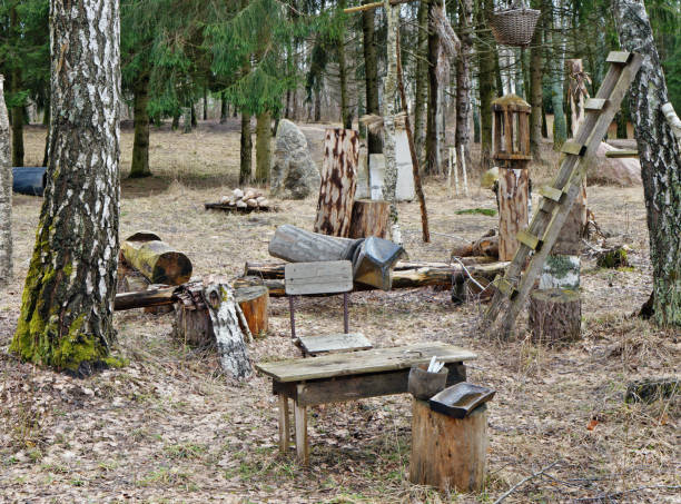 istock Abandoned tourist camp in the spring March forest. 1138610172