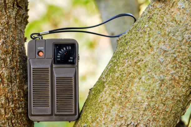 istock Old portable radio on the tree 1138610371