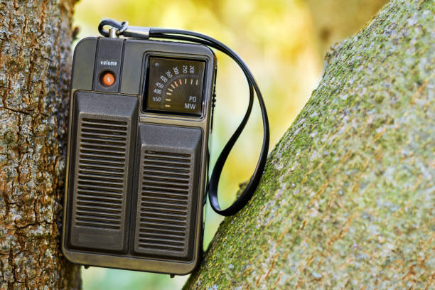 istock Old portable radio on the tree 1138610375