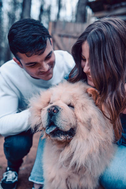 istock Couple Playing With Their Chow Dog 1138612084