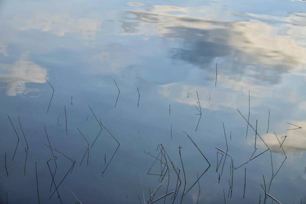 istock abstract background of water 1138613960