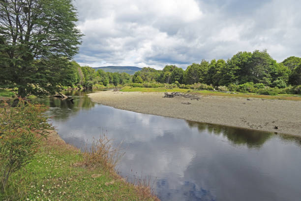 istock wooded stream near Punta Arenas 1138613988