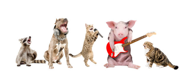 istock Group of cute funny animals musicians 1138614248