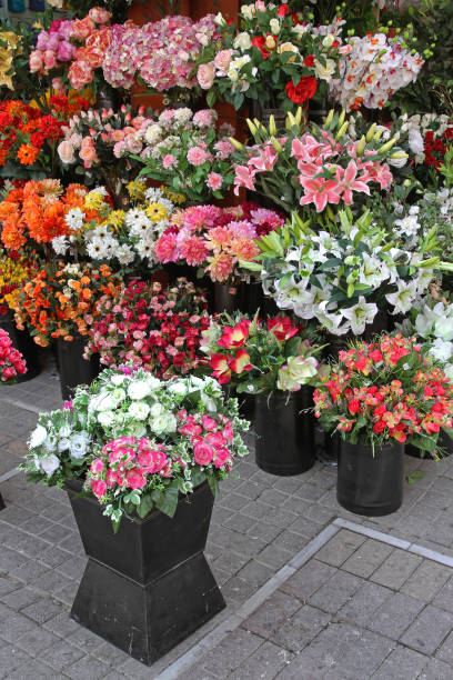 istock Plastic Florist Shop 1138614274
