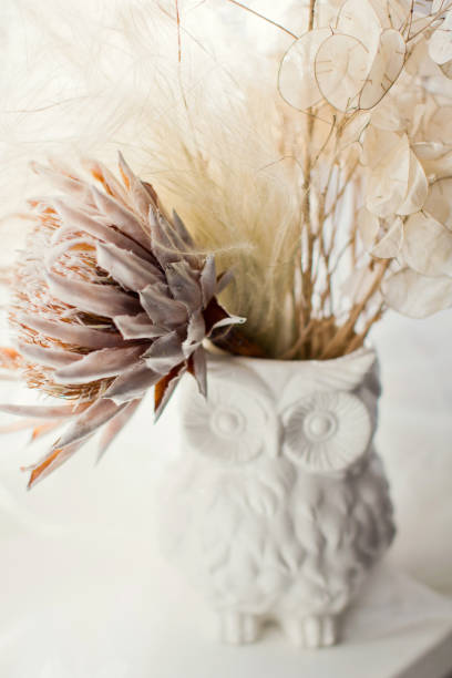 istock dry flowers in white owl vase 1138615084