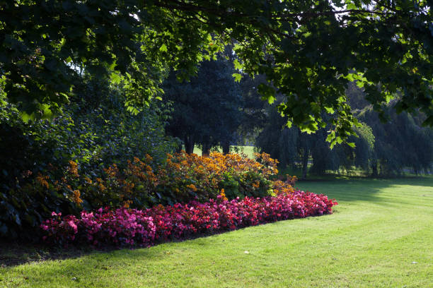 istock Flowers in city park 1138615098