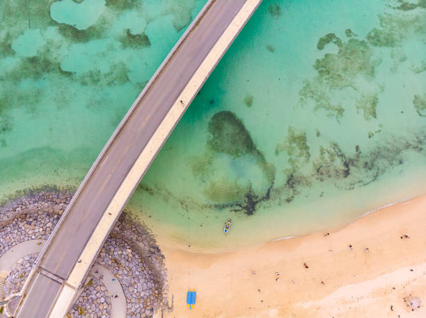 istock A Road on the island In Okinawa 1138617229