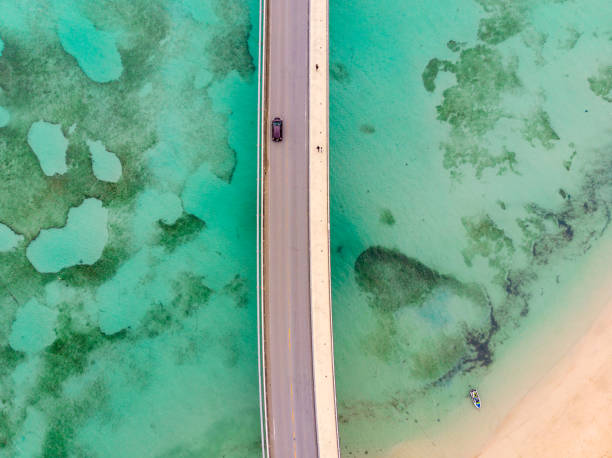 istock A Road on the island In Okinawa 1138617254